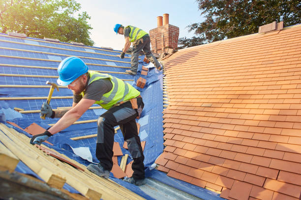 Best Roof Maintenance and Cleaning  in Higginsville, MO